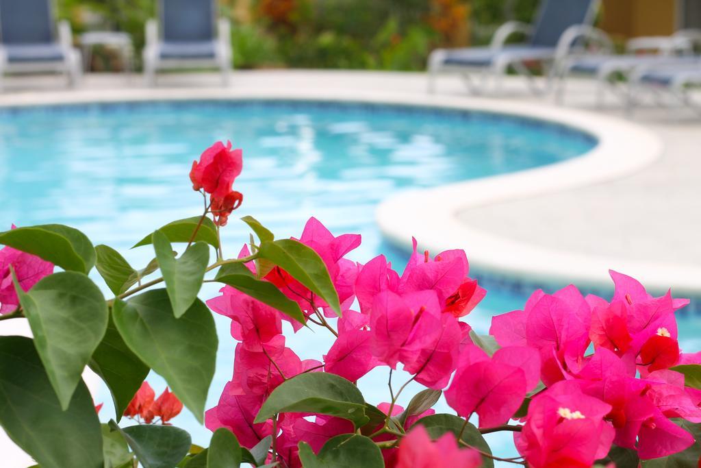Corinto Pearl Eco Resort El Pino Ngoại thất bức ảnh