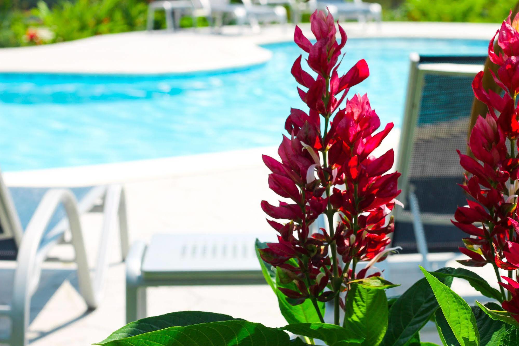 Corinto Pearl Eco Resort El Pino Ngoại thất bức ảnh