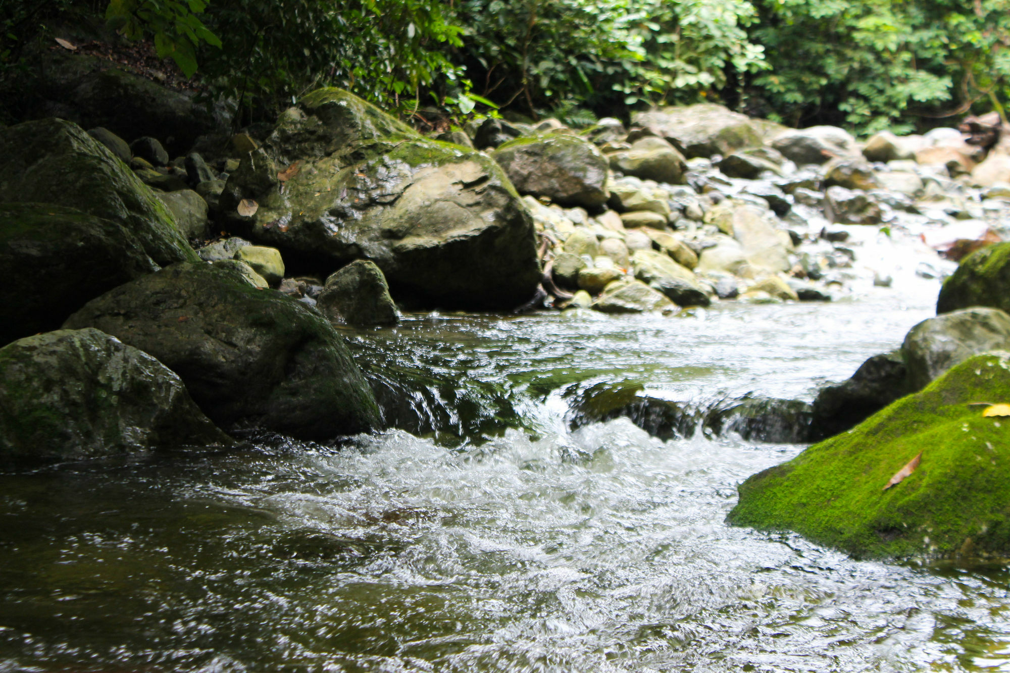 Corinto Pearl Eco Resort El Pino Ngoại thất bức ảnh